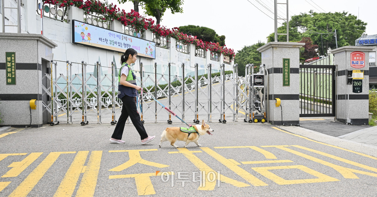 ▲반려견순찰대 굴비(4살)와 최나리 씨가 31일 서울 시내의 한 초등학교 앞에서 순찰을 하고 있다. 조현호 기자 hyunho@