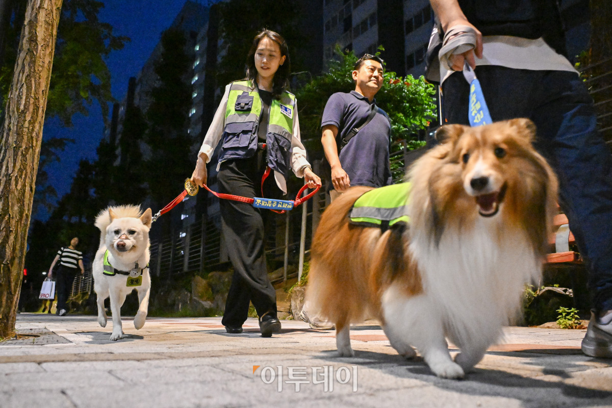 ▲18일 서울 강서구 가양동 일대에서 반려견순찰대원들이 동네 합동순찰을 하고 있다. 조현호 기자 hyunho@