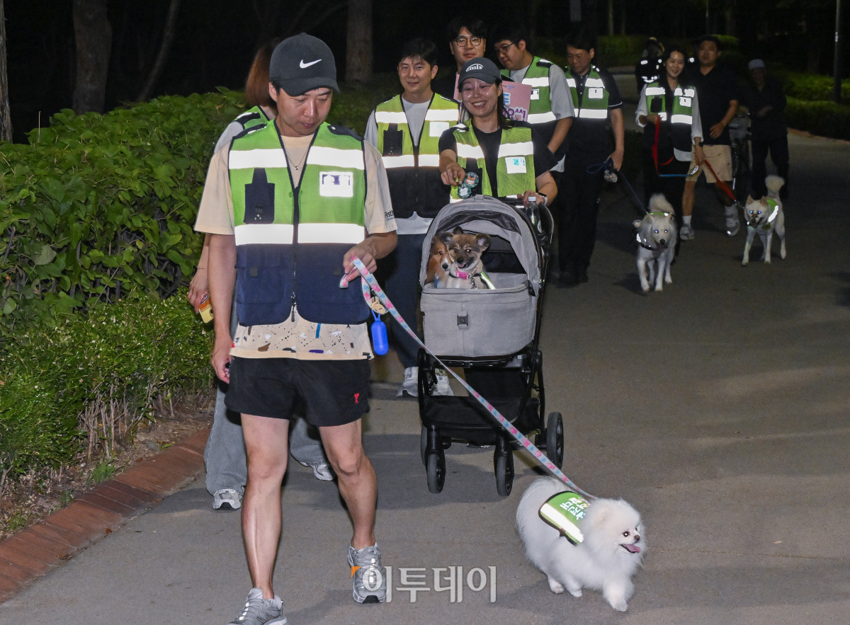 ▲18일 서울 강서구 가양동 일대에서 반려견순찰대원들이 동네 합동순찰을 하고 있다. 조현호 기자 hyunho@