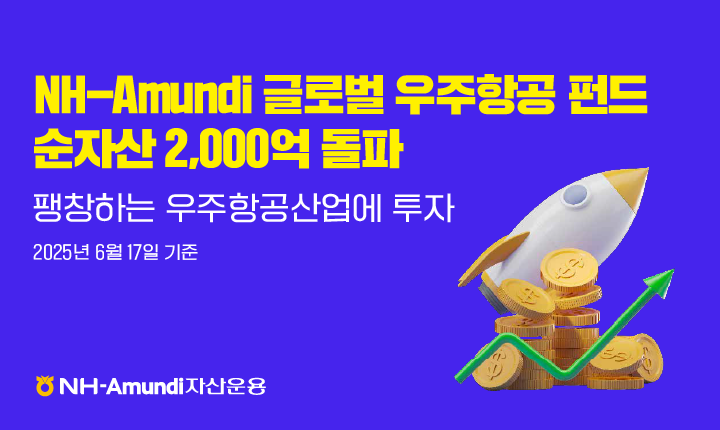 (NH아문디자산운용)