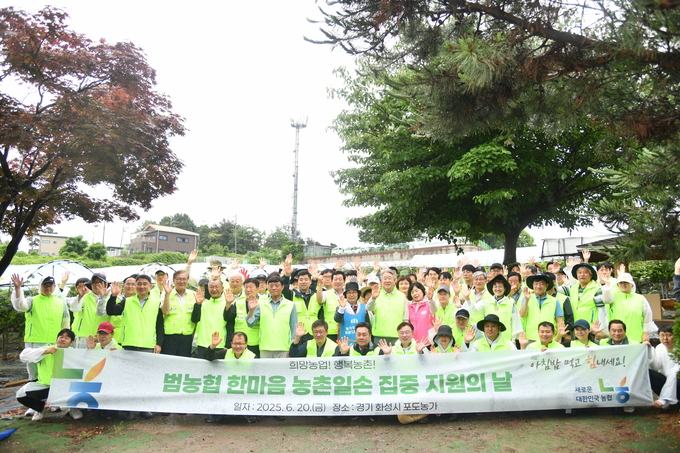▲강호동 농협중앙회장과 엄범식 경기본부장 등 500여 명이 20일 경기도 화성시에서 열린 범농협 한마음 농촌일손 집중 지원 행사에 참여하고 있다. (경기농협)
