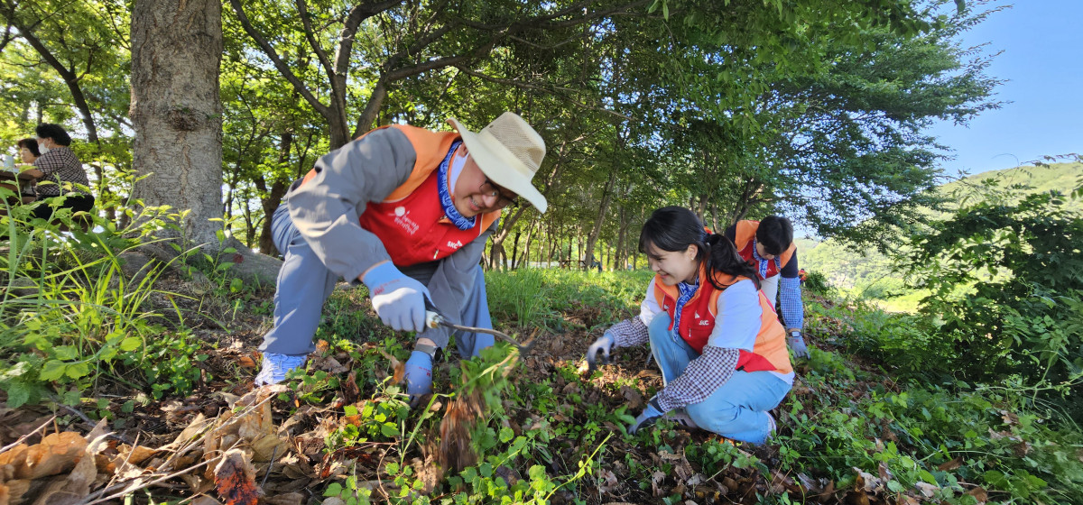 ▲최두환 SK피아이씨글로벌 대표(왼쪽)가 구성원들과 함께 외래 식물 제거 활동을 하고 있다. (사진= SKC)