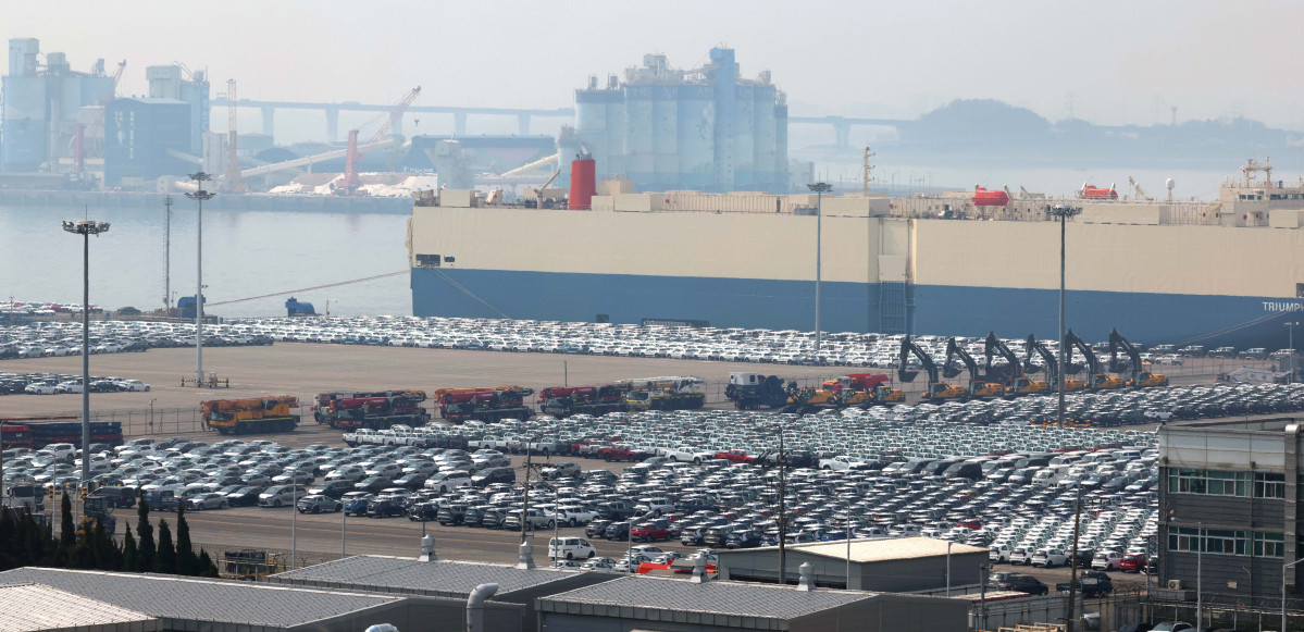 ▲경기 평택항에 수출용 차량이 세워져 있다. 뉴시스