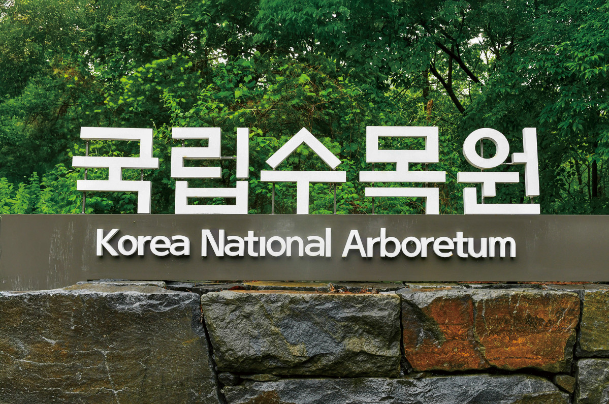 (이현숙 여행작가)