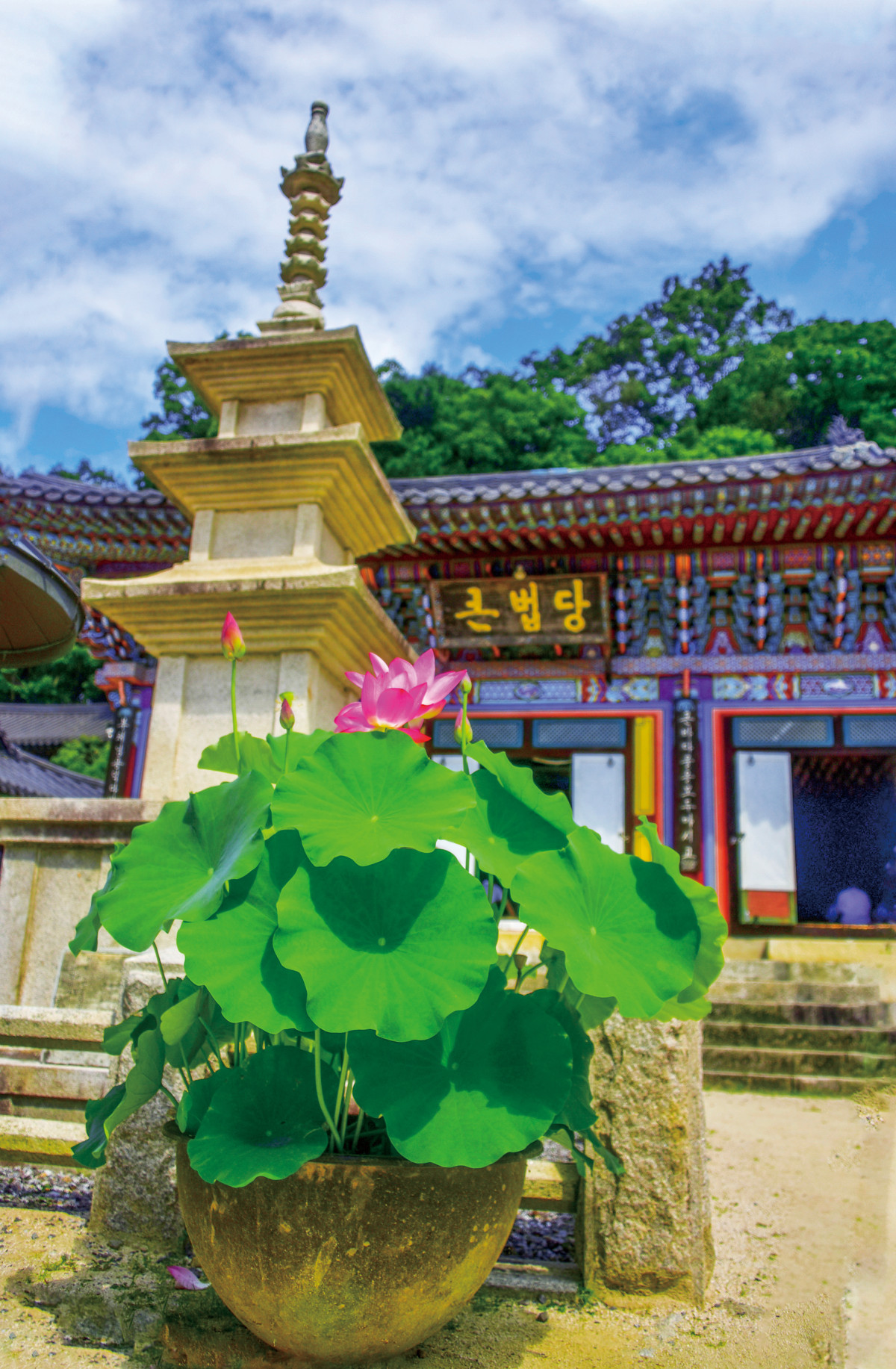 (이현숙 여행작가)