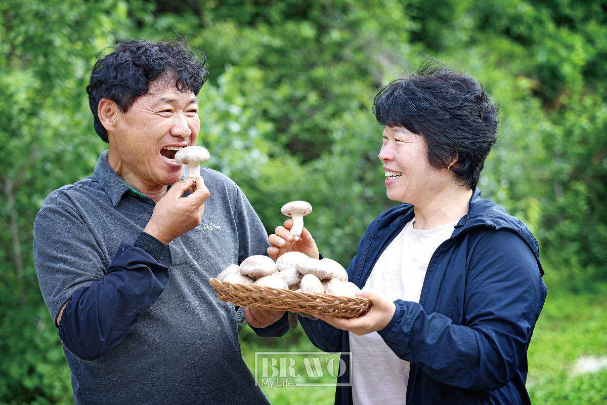 (주민욱 프리랜서)
