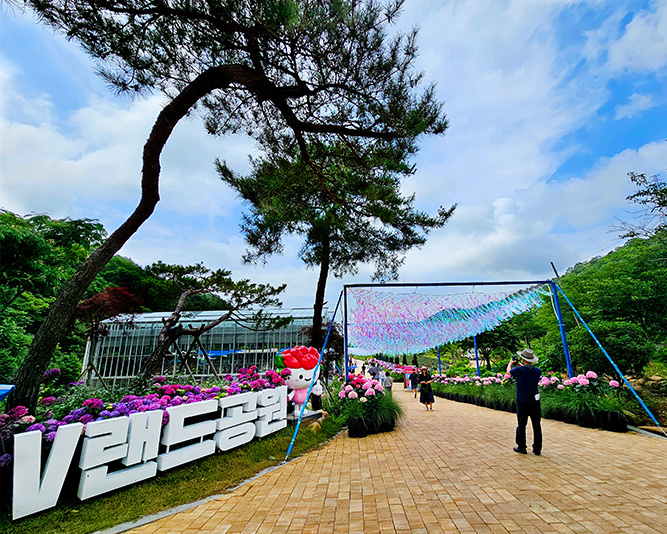 (사진제공=강진군)