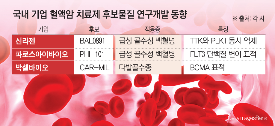 (그래픽=손미경 기자 sssmk@)