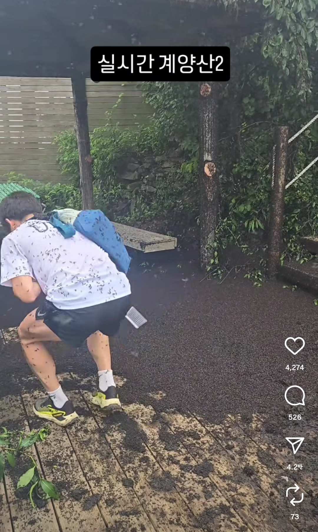 (출처=인스타그램 캡처(@kimlark34))