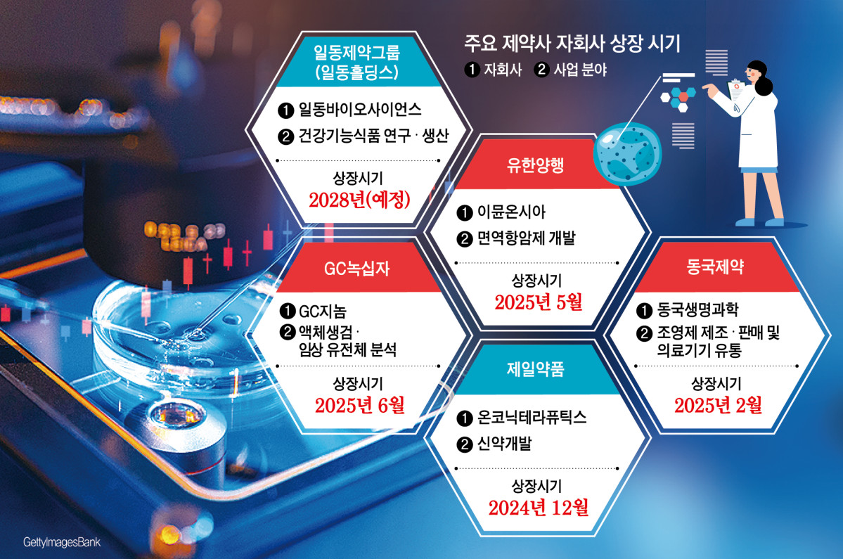 (그래픽=신미영 기자 win8226@)