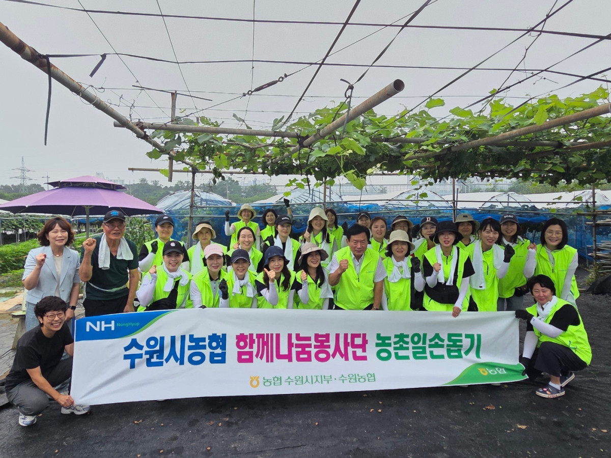 ▲염규종 수원농협 조합장, 전종근 농협중앙회 수원시지부장, NH농협은행 수원 관내 여성 책임자 등으로 구성된 봉사단이 28일 수원시 입북동 포도농가에서 농촌 일손돕기 봉사활동 후 단체 사진을 촬영하고 있다. (경기농협)