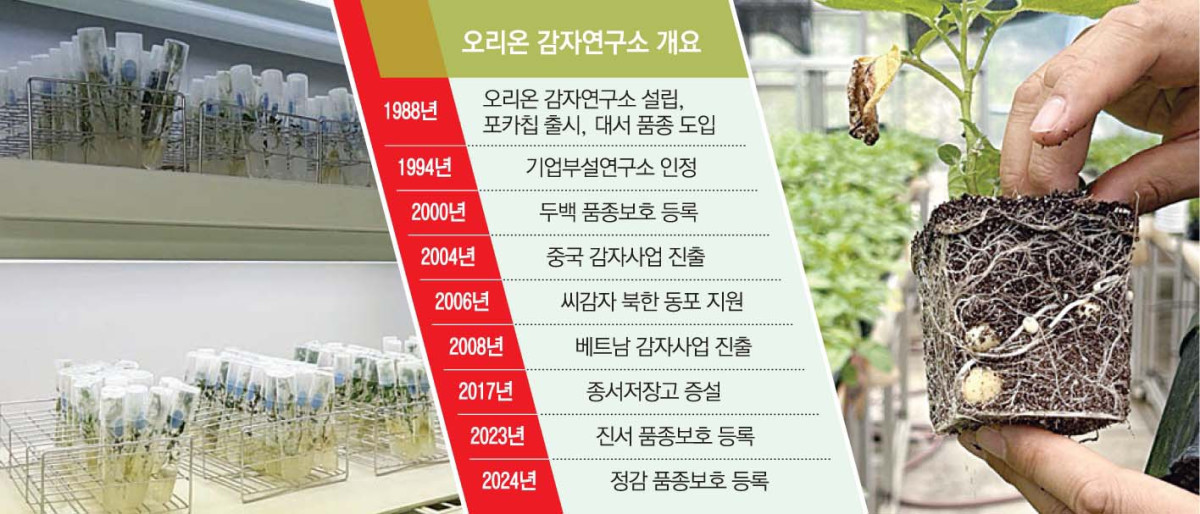 ▲오리온 감자연구소 개요 (이투데이 그래픽팀=손미경 기자)