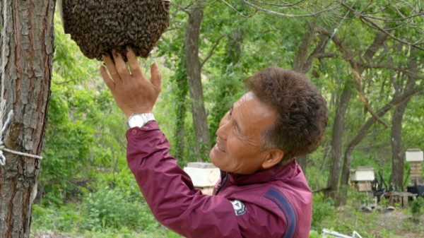 ▲'한국기행' (사진제공=EBS1 )