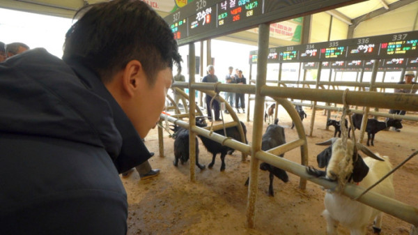 ▲'한국기행' (사진제공=EBS1 )