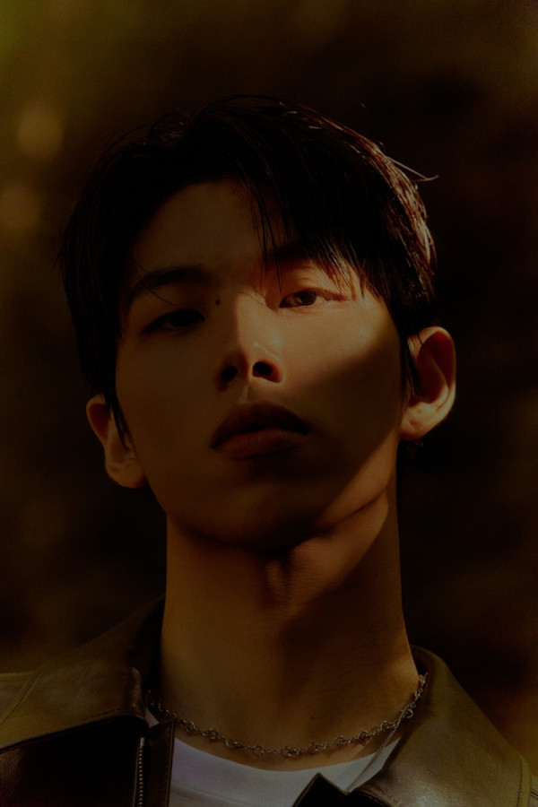 ▲카키 (사진 = WAVY(웨이비) 제공)