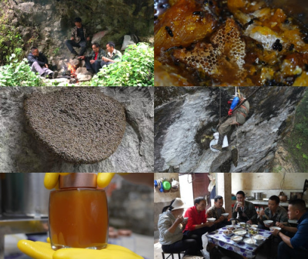 ▲'극한직업'(사진제공=EBS1 )