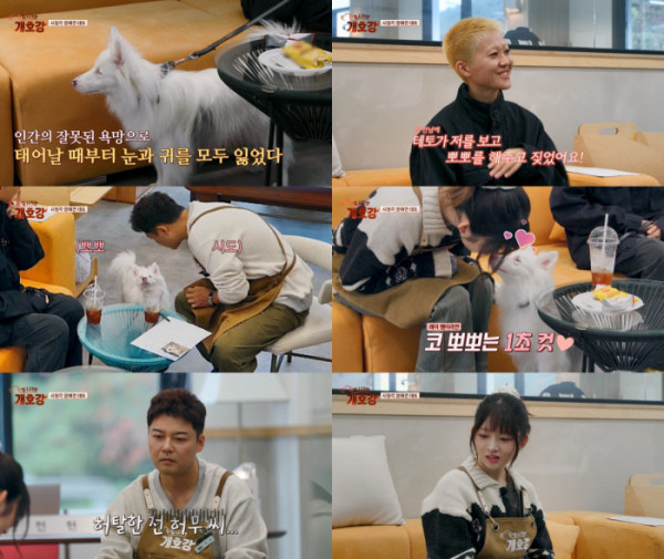 ▲‘집 나가면 개호강’(사진제공=JTBC)