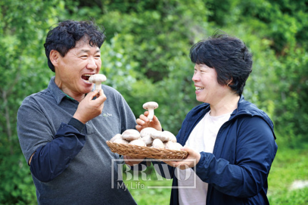 (주민욱 프리랜서)