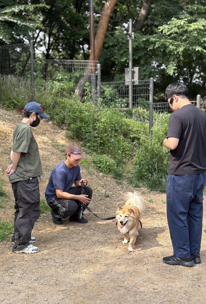 (사진제공=은평구)
