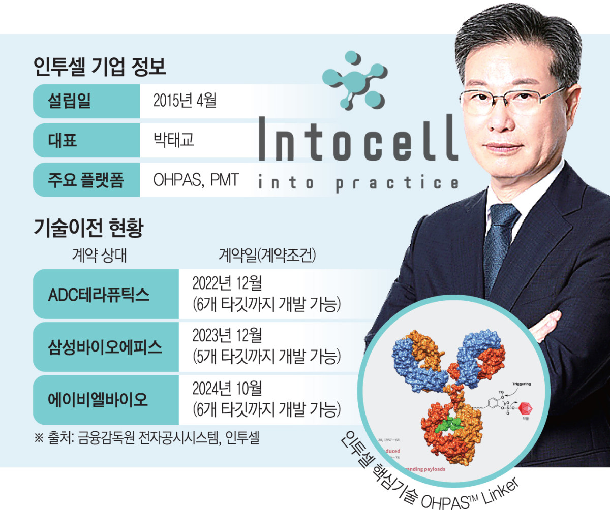 (그래픽=신미영 기자 win8226@)