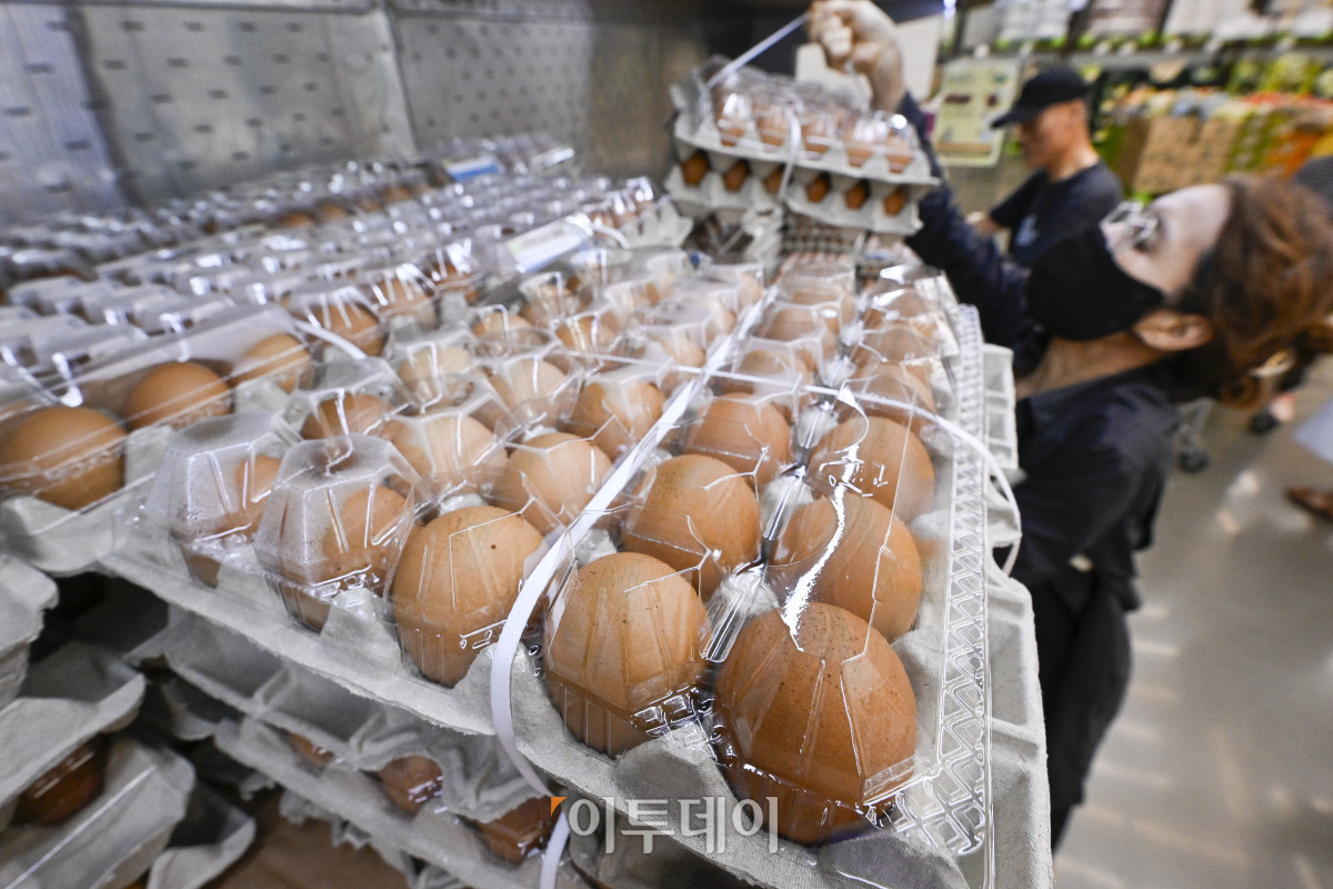 ▲6월 소비자물가 상승률이 두 달 만에 다시 2%대로 상승했다. 2일 통계청이 발표한 6월 소비자물가동향에 따르면 지난달 소비자물가지수는 116.31(2020년=100)로 전년 동월 대비 2.2% 상승했다. 품목별로 보면 가공식품(4.6%), 수산물(7.4%), 축산물(4.3%) 등 식료품 전반의 가격이 큰 폭으로 상승했다. 특히 고등어(16.1%), 마늘(24.9%), 김치(14.2%), 커피(12.4%) 등 서민 식탁에 자주 오르는 품목이 상승폭이 컸다. 라면은 작년보다 6.9% 상승해 2023년 9월(7.2%) 이후 21개월 만에 가장 높은 상승률을 보였고 달걀은 6.0% 올라 2022년 1월 이후 최고치를 기록했다. 이날 경기 고양시의 한 대형마트에서 시민들이 달걀을 살펴보고 있다. 조현호 기자 hyunho@