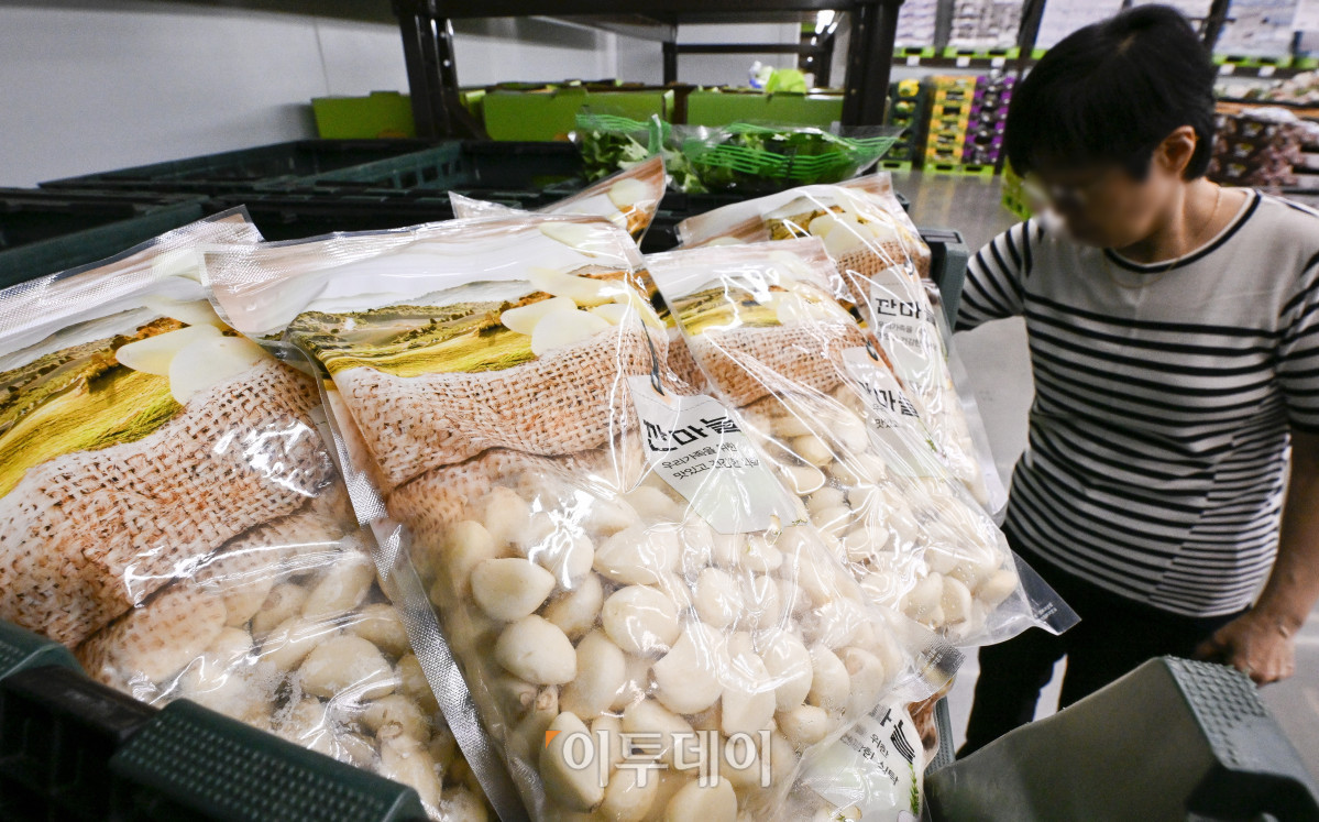 ▲6월 소비자물가 상승률이 두 달 만에 다시 2%대로 상승했다. 2일 통계청이 발표한 6월 소비자물가동향에 따르면 지난달 소비자물가지수는 116.31(2020년=100)로 전년 동월 대비 2.2% 상승했다. 품목별로 보면 가공식품(4.6%), 수산물(7.4%), 축산물(4.3%) 등 식료품 전반의 가격이 큰 폭으로 상승했다. 특히 고등어(16.1%), 마늘(24.9%), 김치(14.2%), 커피(12.4%) 등 서민 식탁에 자주 오르는 품목이 상승폭이 컸다. 라면은 작년보다 6.9% 상승해 2023년 9월(7.2%) 이후 21개월 만에 가장 높은 상승률을 보였고 달걀은 6.0% 올라 2022년 1월 이후 최고치를 기록했다. 이날 경기 고양시의 한 대형마트에 마늘이 진열되어 있다. 조현호 기자 hyunho@