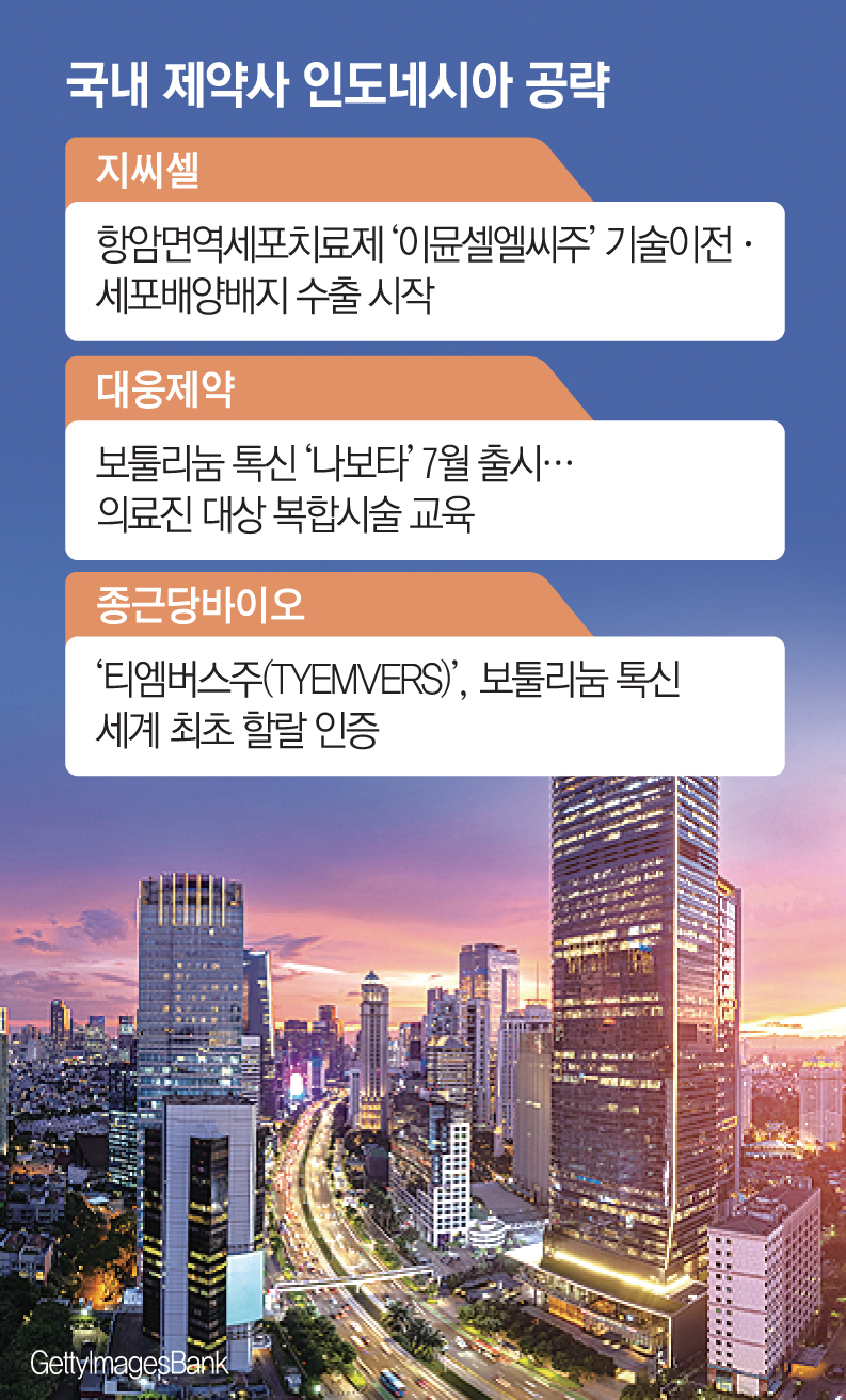 (그래픽=신미영 기자 win8226@)