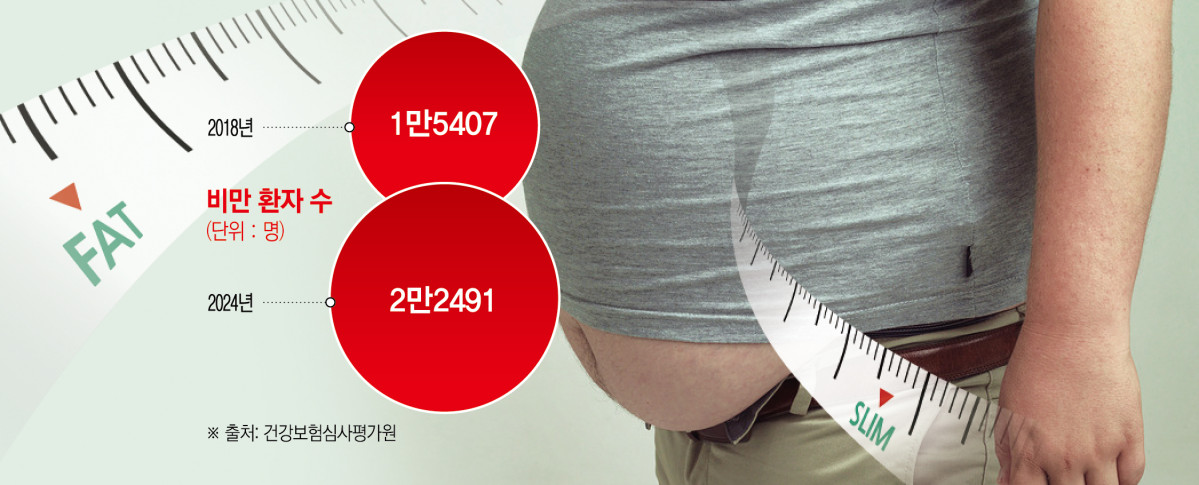 (그래픽=신미영 기자 win8226@)