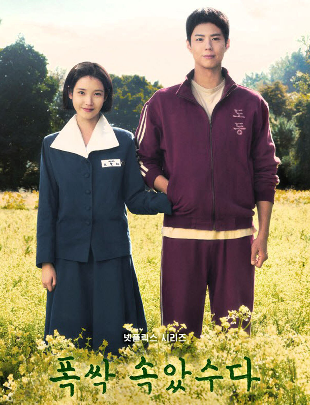 ▲넷플릭스 시리즈 '폭싹 속았수다'의 포스터. 교복과 트레이닝복을 입은 두 주인공이 제주도의 자연을 배경으로 서 있는 모습에 제주 고유의 정서를 담았다. (사진제공 넷플릭스)