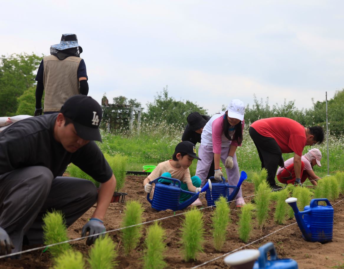 ▲서부공원여가센터-노을공원시민모임 협력 프로그램 활동 사진. (사진제공=서울시)