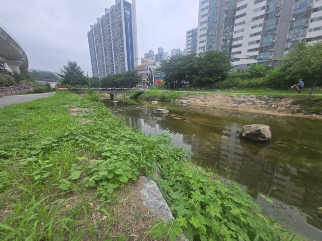 ▲'힐스테이트 회룡역 파크뷰'에서 도보 10분 거리에 있는 회룡천. (전보규 기자 jbk@)