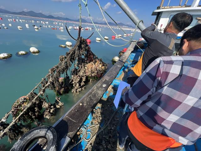 ▲전남의 겨울철 바다에서 양식어가가 굴 채취를 위해 배 위에서 그물을 끌어올리는 모습이 포착되고 있다. (사진제공 = 전남도)