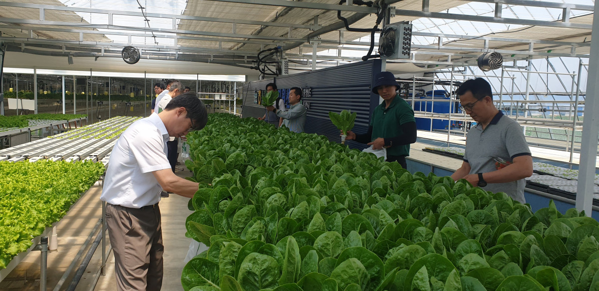 ▲한국농업기술진흥원에서 스마트팜 기업 재직자들이 교육을 받고 있다. (사진제공=한국농업기술진흥원)