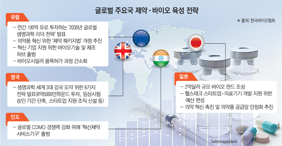 (그래픽=손미경 기자 sssmk@)