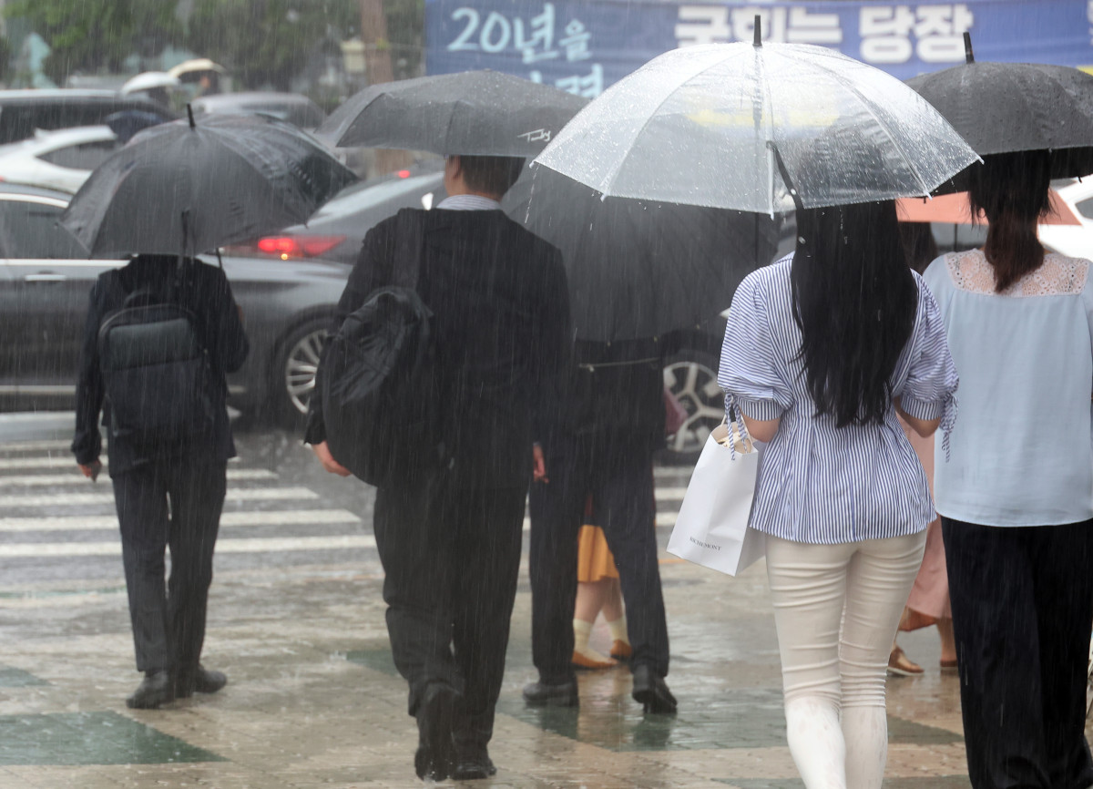 (연합뉴스)