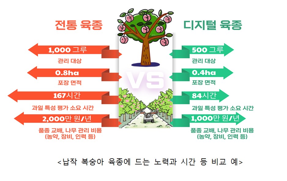 ▲전통 육종과 디지털 육종 비교 (농촌진흥청)