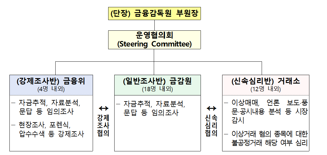 ▲주가조작 합동대응단 구성 (출처=금융위원회)