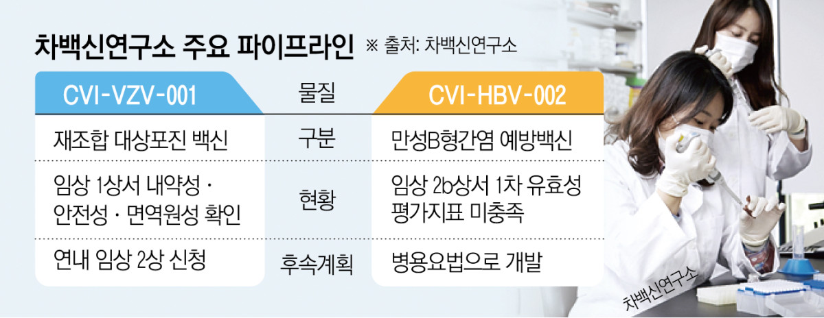 (그래픽=신미영 기자 win8226@)