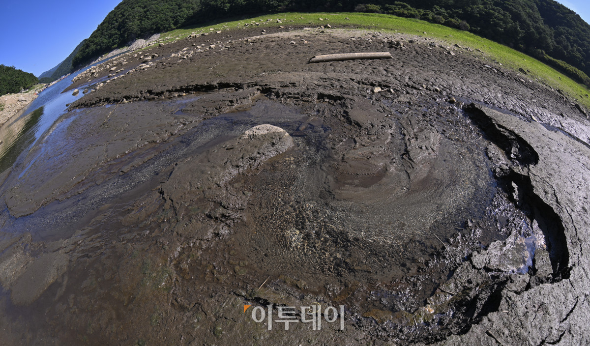 ▲전국이 연일 37도가 넘는 폭염이 이어지고 있는 가운데 10일 강원 춘천시 소양강 상류지역 하천이 바닥을 드러내고 있다. 조현호 기자 hyunho@