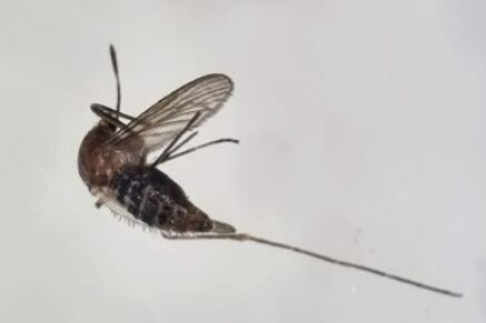 (사진 제공 = 전북 보건환경연구원)