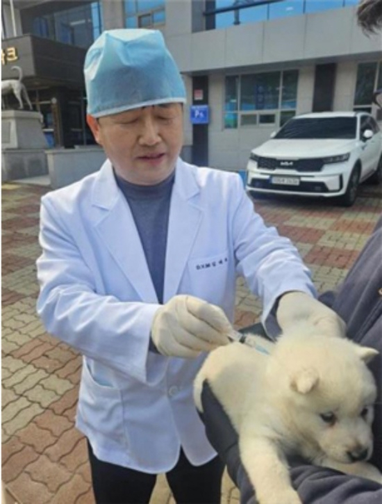 ▲전남 진도군이 천연기념물 진도개의 건강 관리와 품종 보호를 위해 매주 수의사를 파견하는 '진도개 방문 진료'가 큰 호응을 얻고 있다. (사진제공 진도군)