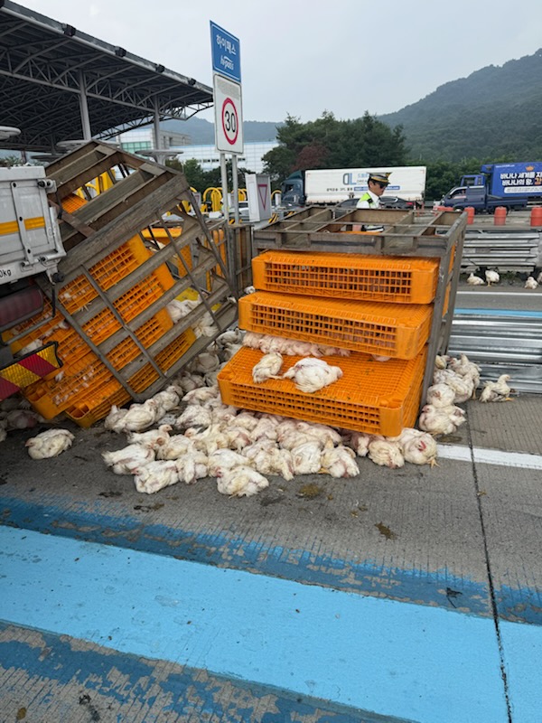 (연합뉴스)