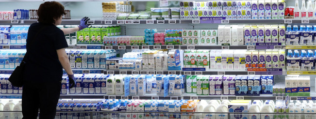 ▲[서울=뉴시스] 추상철 기자 = 3일 오전 서울시내 한 대형마트에 우유가 진열돼 있다. 한국소비자원이 집중 관리하는 7대 생필품중 식용유와 화장지의 가격은 상승했고 밀가루,라면,우유,계란,설탕 가격은 일제히 하락했다. 2024.09.03. scchoo@newsis.com