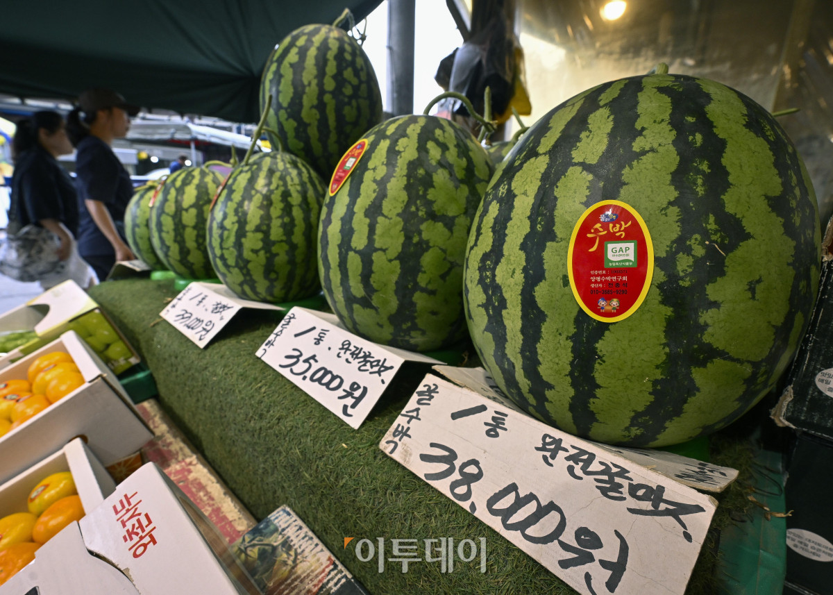 ▲무더위에 물량 부족 및 수요 증가로 수박 한 통 평균 소매 가격이 상승하면서 3만원을 넘어섰다. 15일 한국농수산식품유통공사(aT) 집계에 따르면 전날 수박(상품) 한 통 평균 소매 가격은 전통시장에서 3만327원으로 3만원을 돌파했다. 이날 서울 시내 한 전통시장에 수박이 진열되어 있다. 조현호 기자 hyunho@
