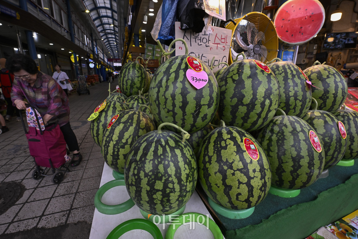 ▲무더위에 물량 부족 및 수요 증가로 수박 한 통 평균 소매 가격이 상승하면서 3만원을 넘어섰다. 15일 한국농수산식품유통공사(aT) 집계에 따르면 전날 수박(상품) 한 통 평균 소매 가격은 전통시장에서 3만327원으로 3만원을 돌파했다. 이날 서울 시내 한 전통시장에 수박이 진열되어 있다. 조현호 기자 hyunho@