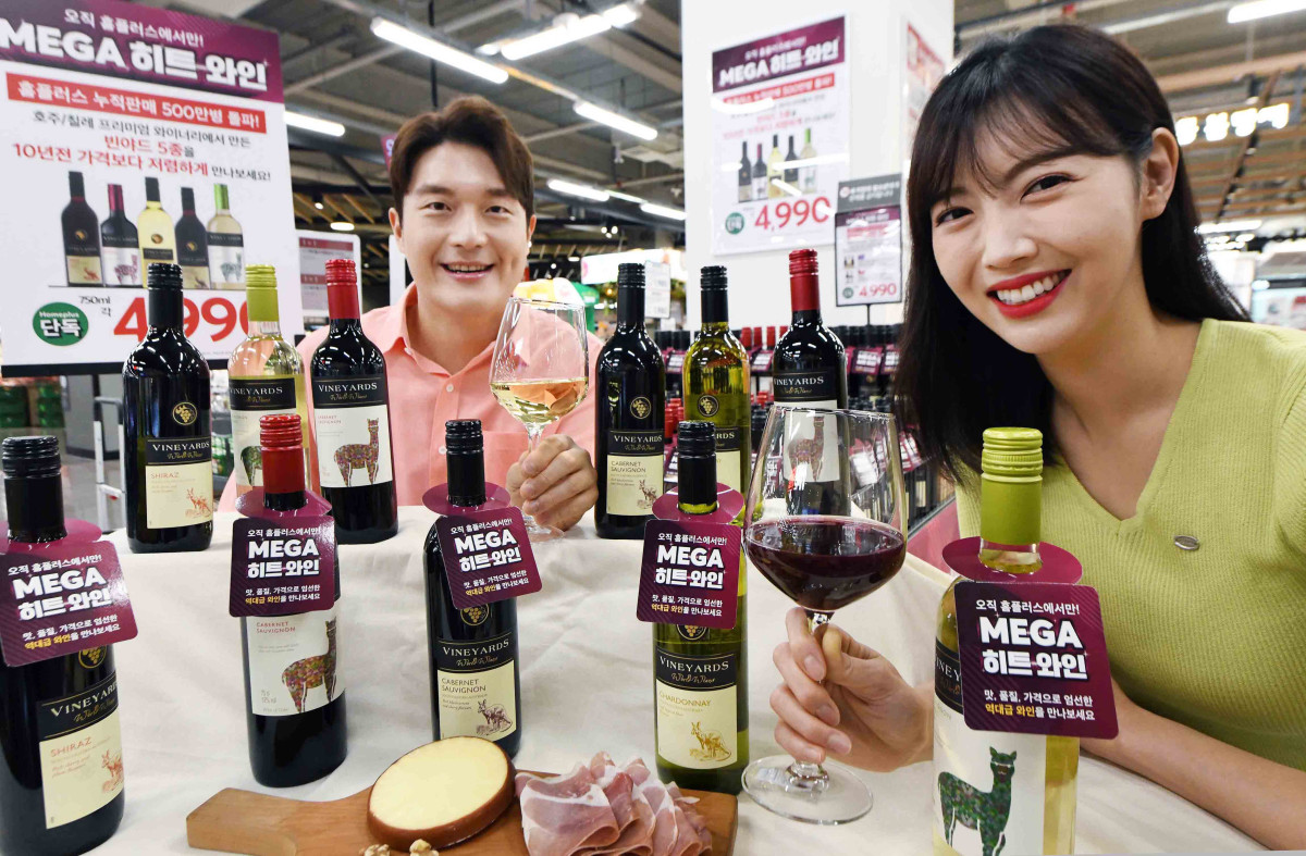 ▲모델들이 15일 ‘홈플러스 메가 푸드 마켓 라이브’ 강서점에서 ‘메가 히트’ 와인 ‘빈야드’ 5종을 소개하고 있다. 전국 홈플러스 매장에서 4990원에 한정 수량 판매한다. (사진제공=홈플러스)