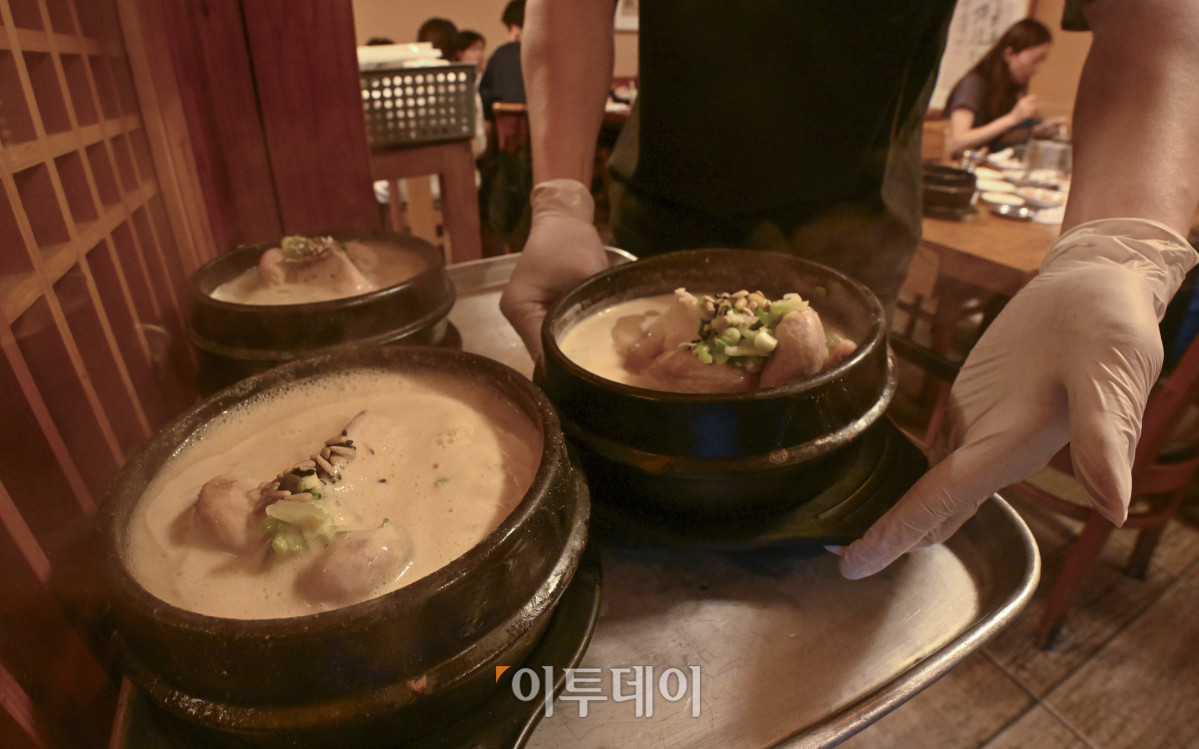 ▲본격적인 더위가 시작하는 초복을 앞두고 최근 폭염으로 폐사하는 닭 급증과 수급 불안까지 겹치며 삼계탕 한 그릇 가격이 2만원을 육박하고 있다. 통계청 국가통계포털(KOSIS)에 따르면 6월 삼계탕 품목의 소비자물가지수는 122.56으로 지난 2020년에 비해 약 22% 상승했다. 한국소비자원 가격정보포털 참가격은 5월 서울 지역 삼계탕 한 그릇 평균 가격을 1만7654원으로 전년대비 4.6% 올랐다고 밝혔다. 16일 서울 시내 한 삼계탕 전문식당에서 직원이 삼계탕을 서빙하고 있다. 조현호 기자 hyunho@