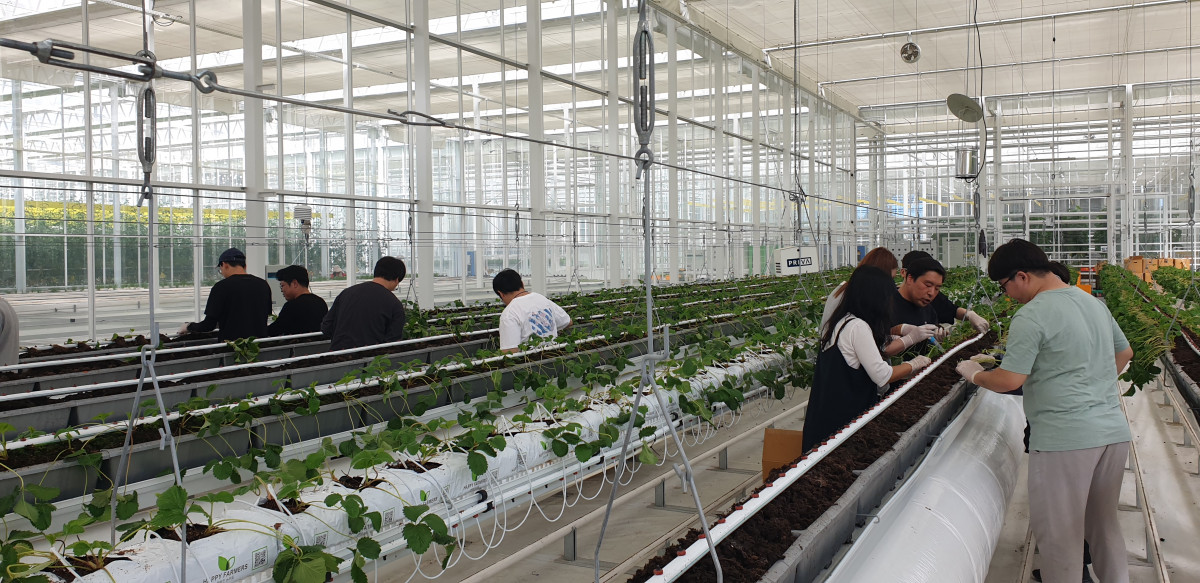 ▲한국농업기술진흥원에서 스마트팜 청년창업 보육센터 교육생들이 스마트팜 영농기술을 배우고 있다. (사진제공=한국농업기술진흥원)