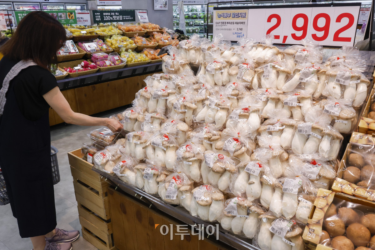 ▲대형마트 3사가 농림축산식품부와 손잡고 밥상 물가 내리기에 나선다. 17일 대형마트업계 및 농림축산식품부에 따르면 이마트·홈플러스·롯데마트는 이날부터 여름 제철 과일이나 필수 채소의 가격을 낮추는 '농축산물 할인지원(농할)' 행사를 진행한다. 이마트는 3주간 배추 등 농산물을 신세계포인트 적립 시 자체 20% 할인가에 농식품부 지원 20%를 적용해 정상가보다 36% 싸게 판매한다. 롯데마트는 23일까지 농식품부와 제철 과일과 채소, 곡류 등 15개 품목을 할인한다. 1인당 최대 2만원까지 할인을 받을 수 있다. 홈플러스는 마이홈플러스 멤버특가 할인에 농할쿠폰 20% 추가 할인 혜택을 제공한다. 이날 서울 시내 한 롯데마트에서 시민들이 장을 보고 있다. 조현호 기자 hyunho@