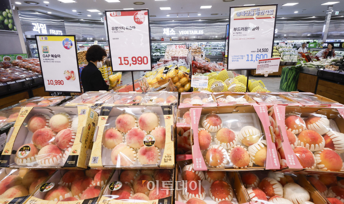 ▲대형마트 3사가 농림축산식품부와 손잡고 밥상 물가 내리기에 나선다. 17일 대형마트업계 및 농림축산식품부에 따르면 이마트·홈플러스·롯데마트는 이날부터 여름 제철 과일이나 필수 채소의 가격을 낮추는 '농축산물 할인지원(농할)' 행사를 진행한다. 이마트는 3주간 배추 등 농산물을 신세계포인트 적립 시 자체 20% 할인가에 농식품부 지원 20%를 적용해 정상가보다 36% 싸게 판매한다. 롯데마트는 23일까지 농식품부와 제철 과일과 채소, 곡류 등 15개 품목을 할인한다. 1인당 최대 2만원까지 할인을 받을 수 있다. 홈플러스는 마이홈플러스 멤버특가 할인에 농할쿠폰 20% 추가 할인 혜택을 제공한다. 이날 서울 시내 한 롯데마트에서 시민들이 장을 보고 있다. 조현호 기자 hyunho@
